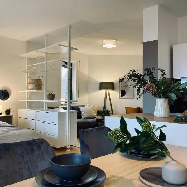 Schickes, Stilvolles und Helles Apartment in Münster, viešbutis mieste Miunsteris