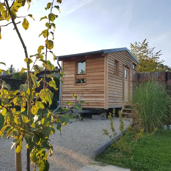 Zirbenholz Tiny House "Waldhauszeit" am See, hotel in Mücke