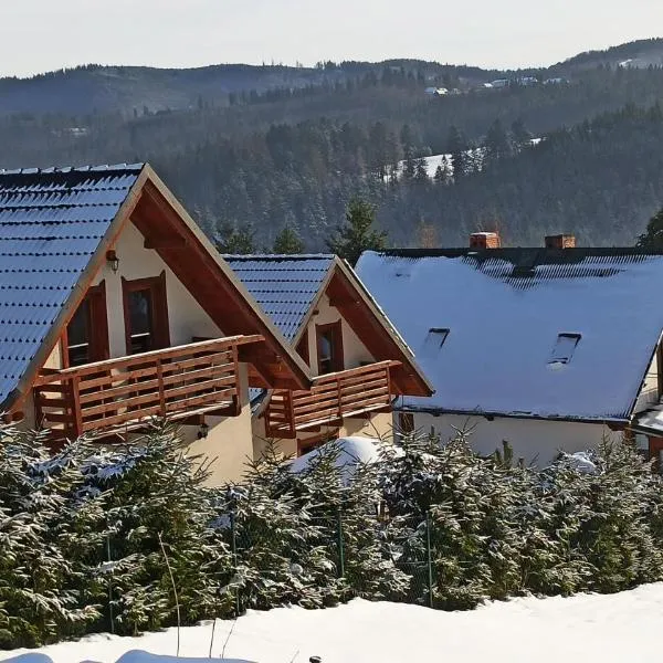 Domek u Małysza Istebna, Hotel in Istebna