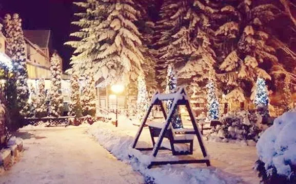 Hotel Pod Jeleniem, отель в Сверадув-Здруе