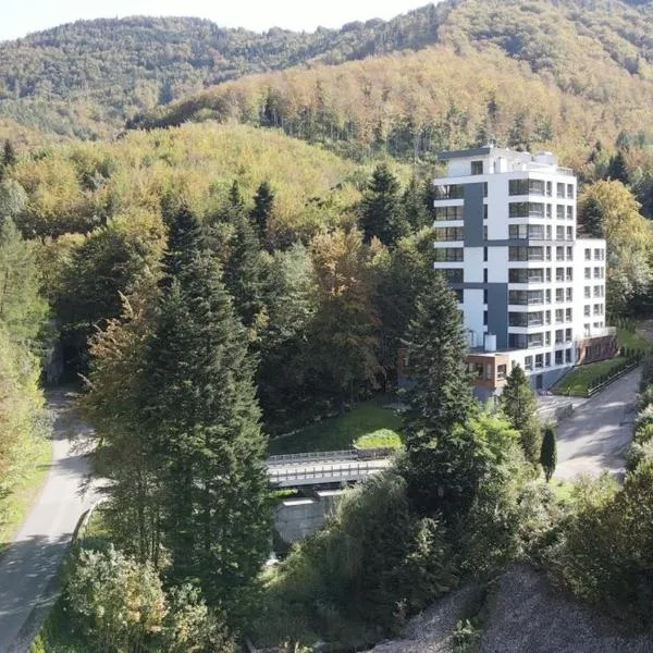 Kurort Kozubnik - Apartamenty Kiczora nad strumykiem - Dream Apart, hotel v destinácii Porąbka
