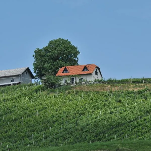 Šmarje pri Jelšah에 위치한 호텔 Vineyard Cottage Zdolsek