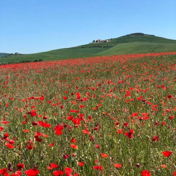 Agriturismo Poggio Tobruk, hotel in Pienza