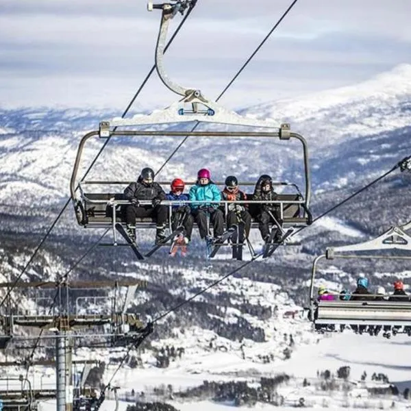 Modern lakehouse with jacuzzi & sauna, near golf and alpine, Hotel in Vradal