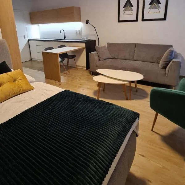 Apartmán Hestia 5, hotel in Rajecké Teplice