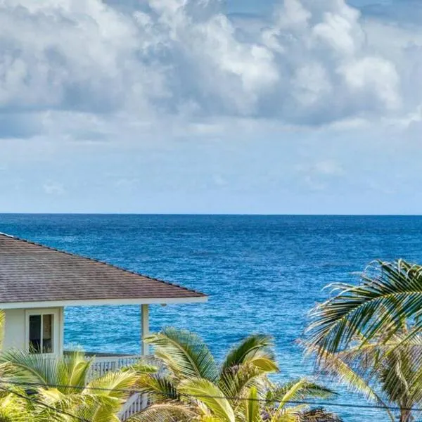 Hawaiian Paradise, hotel in Honolulu Landing