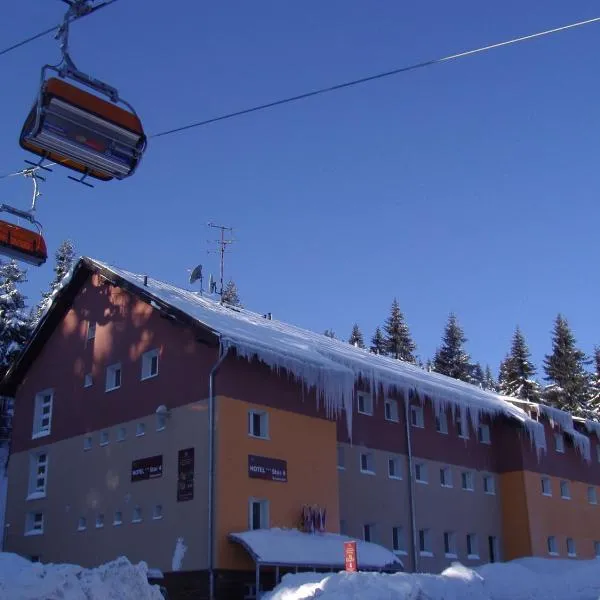 Hotel Pod Vlekem, hotel in Loučná pod Klínovcem