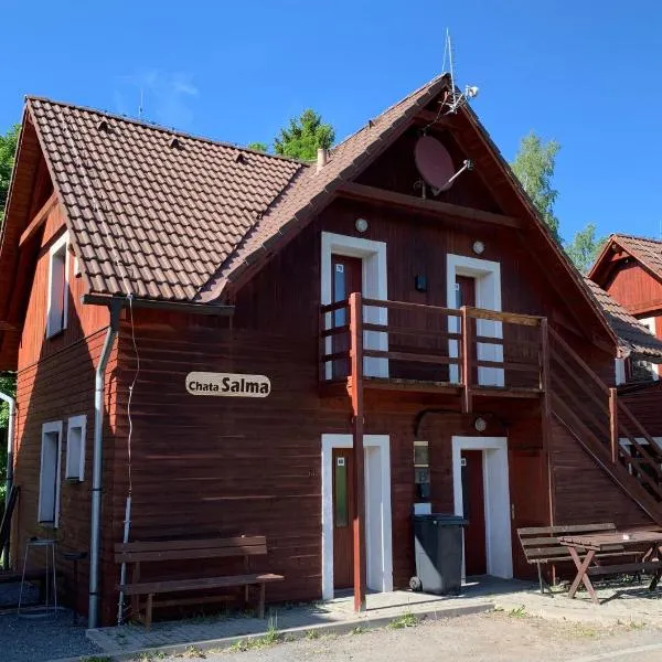 Chata Salma Jeseníky, hotel in Dolní Moravice