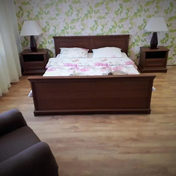 Guest house on Ivana Franka, Hotel in Novyye Petrovtsy