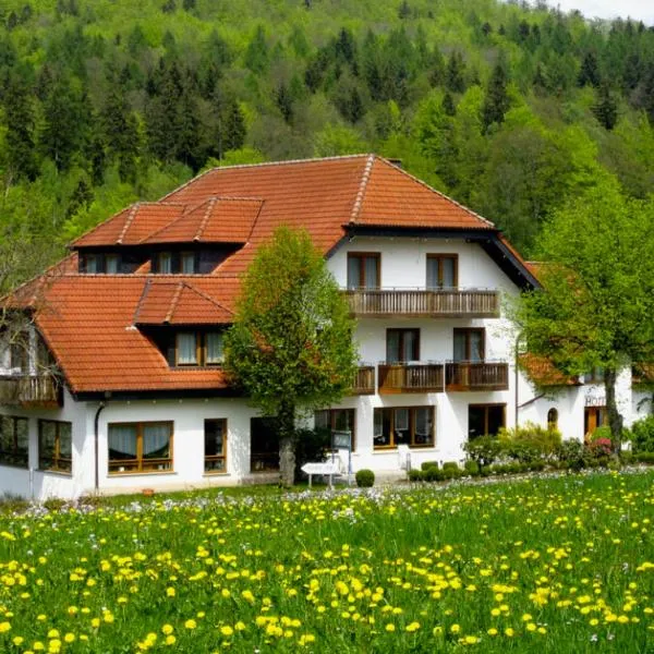 Rhön-Hotel Sonnenhof - Restaurant & Café, hotel v destinaci Poppenhausen