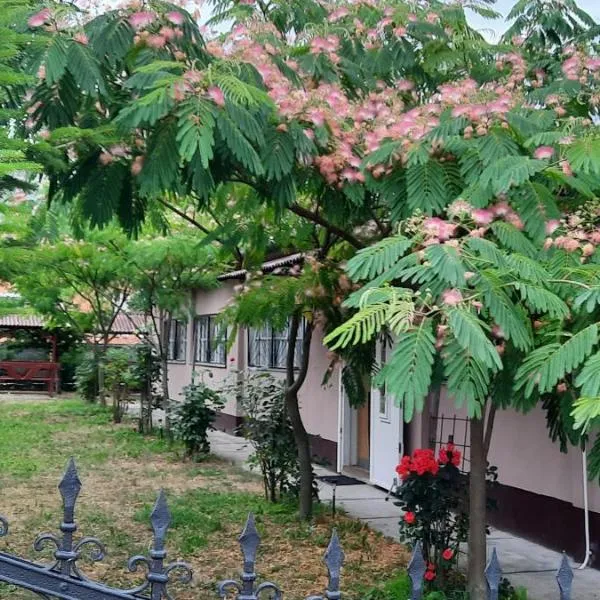 Kisfaludy Vendégház, hotel in Abádszalók