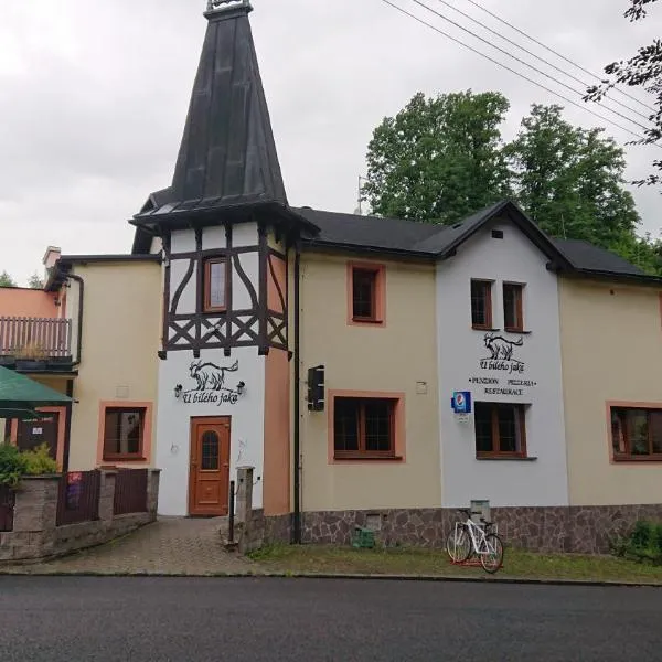 Penzion U bílého jaka, hotel Dolní Poustevnában