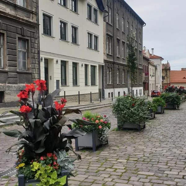 Apartamenty pod Katedrą, hotel in Bielsko-Biała
