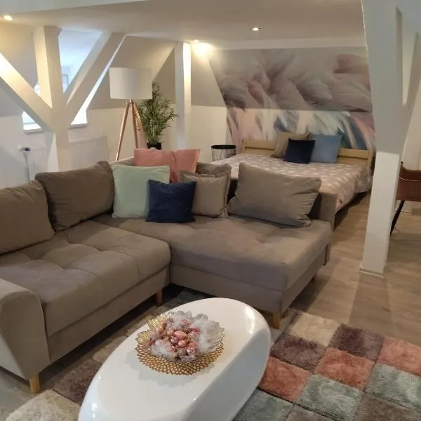 Valentin Apartman, hotel in Makó