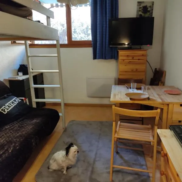 PETIT STUDIO 17 M2，位于拉富的酒店