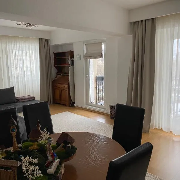Apartament Cozma、バイア・マーレのホテル