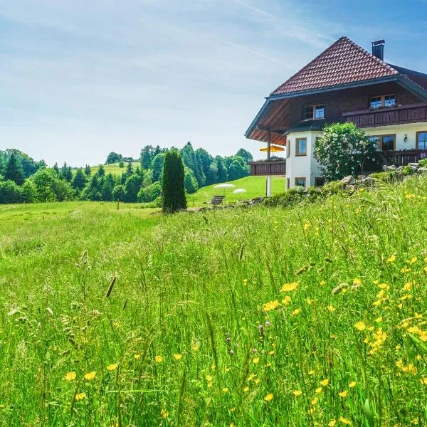 Hubertus Lodge, hotel in Ibach