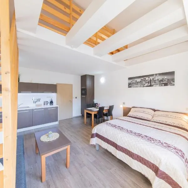 Apartmány Sophia 7, ξενοδοχείο σε Velke Losiny