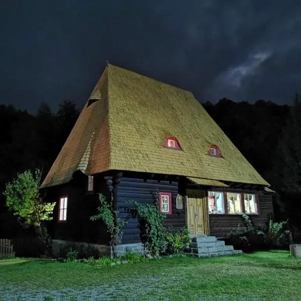 Cabana Iubu, hotel v destinaci Valea Draganului