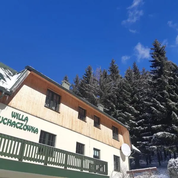 Willa Puchaczówka, hotel v destinaci Sienna