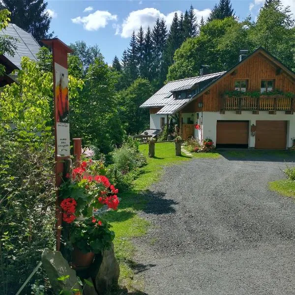 Alm-House HOLLMANN, hotel v destinaci Železná Ruda
