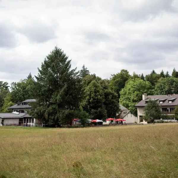 Waldgasthof zum Geländer, hotel in Dollnstein