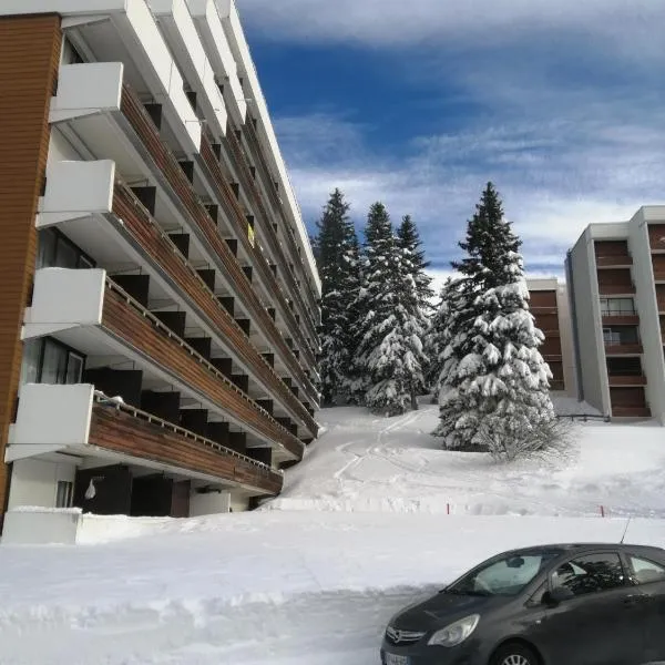 Le Flocon-Studio cabine-Balcon 4-6 Pers à 100m des pistes, hotell i Chamrousse