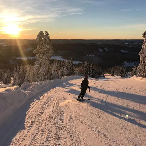 Rämsbyns Fritidsområde - Den perfekta platsen för avkoppling – hotel w mieście Kullen