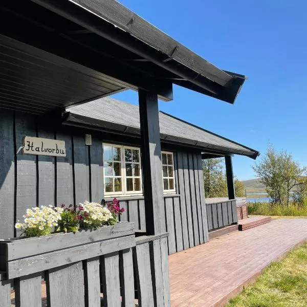 Torsetlia Cottages and Apartments, hotel v destinaci Uvdal