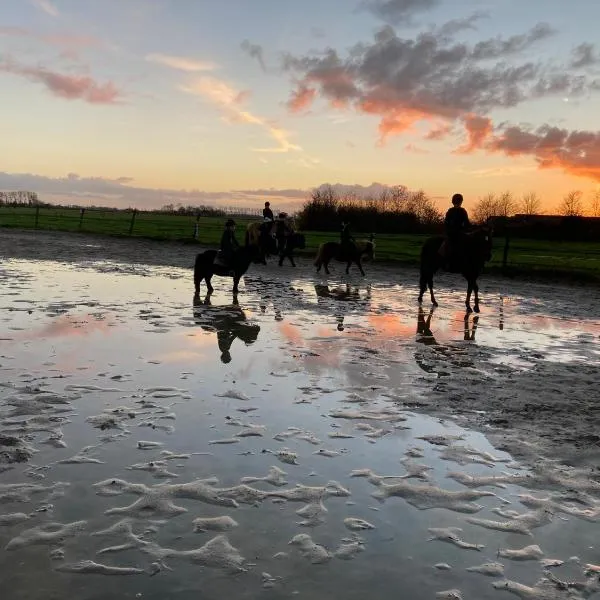 The Horse Farm, hotel in Zuidhorn