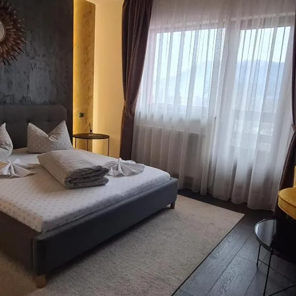Pensiunea Hangita, hotel v destinaci Baia Mare