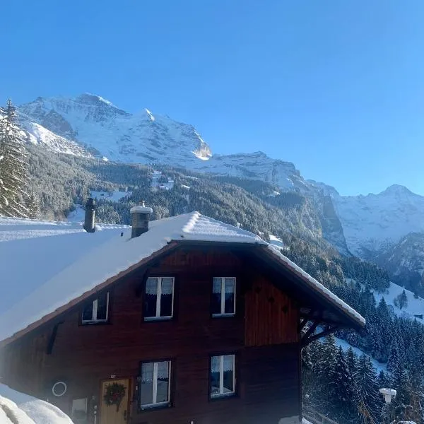 Chalet Aargovia, hotel v destinaci Wengen