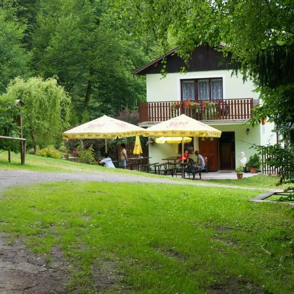 Pension U Štěpánků, hotel a Kožlí