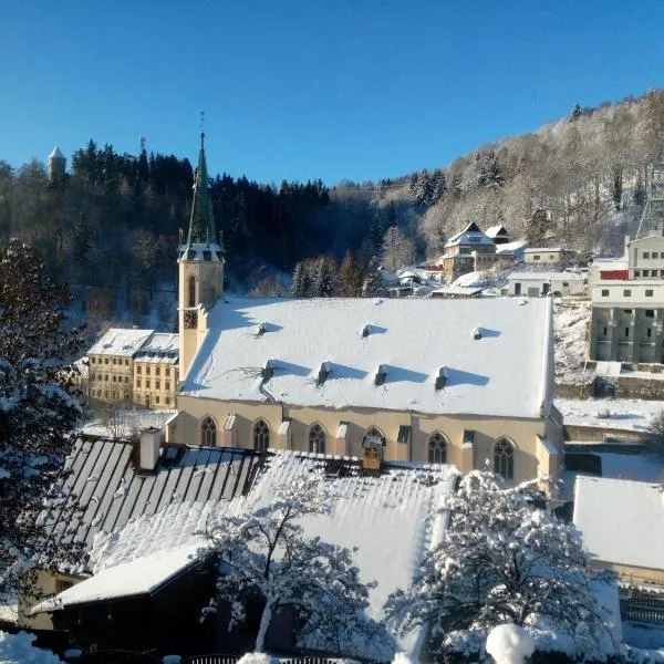 Apartmán Albreit 1, hotel in Jáchymov