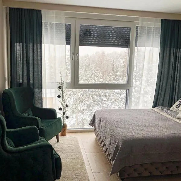 Apartman Ambijent Divcibare, hotelli kohteessa Divčibare
