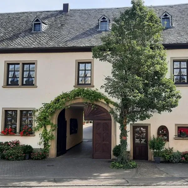 Weingut Gorges-Reinhard, hotel en Wintrich