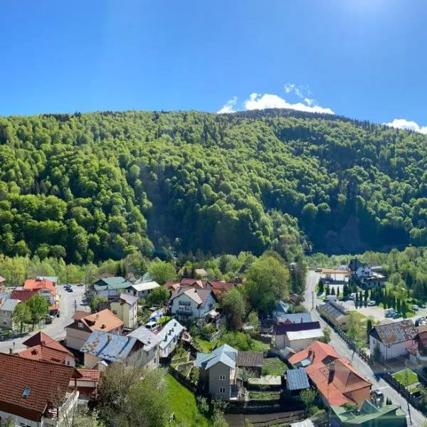 ViewApart Sinaia, hotel u gradu Sinaia