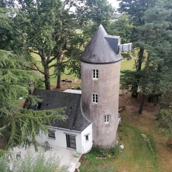 Le moulin de La Retardière, hotel in Vigneux-de-Bretagne