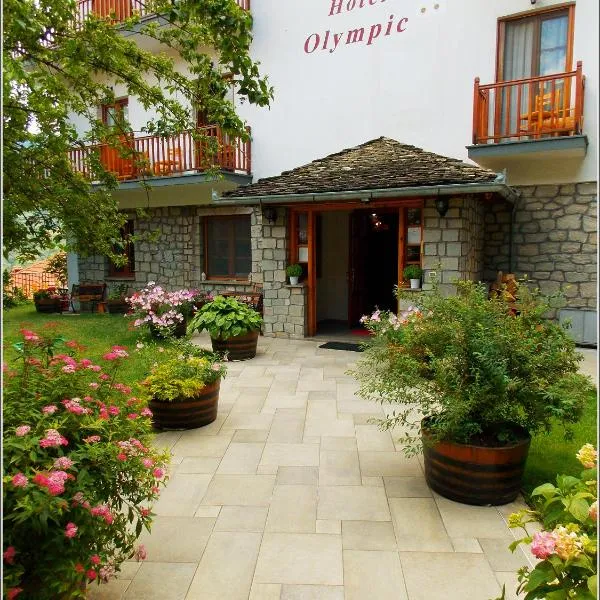 Hotel Olympic, ξενοδοχείο στο Μέτσοβο