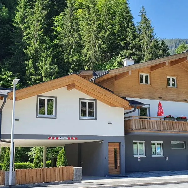 Alpen Appartements Viehhofen: Viehhofen şehrinde bir otel