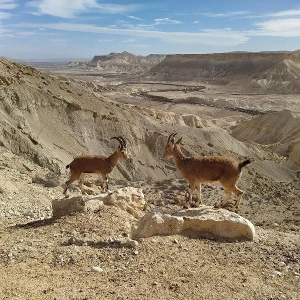 Glezant, hotel in Mitzpe Ramon