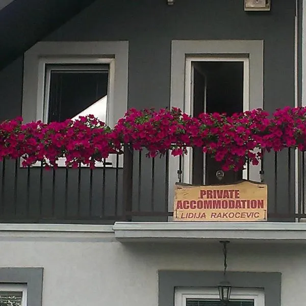 Private accommodation Lidija Rakočević, hotel v destinaci Kolašin