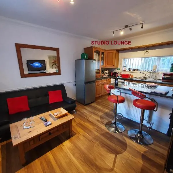 F2 STUDIO - 485sq Feet 4 Room - PERFECT for LONG STAY - FREE STREET PARKING - WASHER - NETFLIX - Welcome Tray 1 FREE Dog, Hotel in Barry