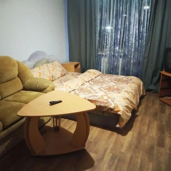 Уютная 2 комн. квартира на Красном Камне, hotel in Dnipro