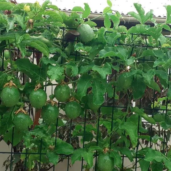 FRUITS DE LA PASSION, hotel v destinaci Saint-Philippe