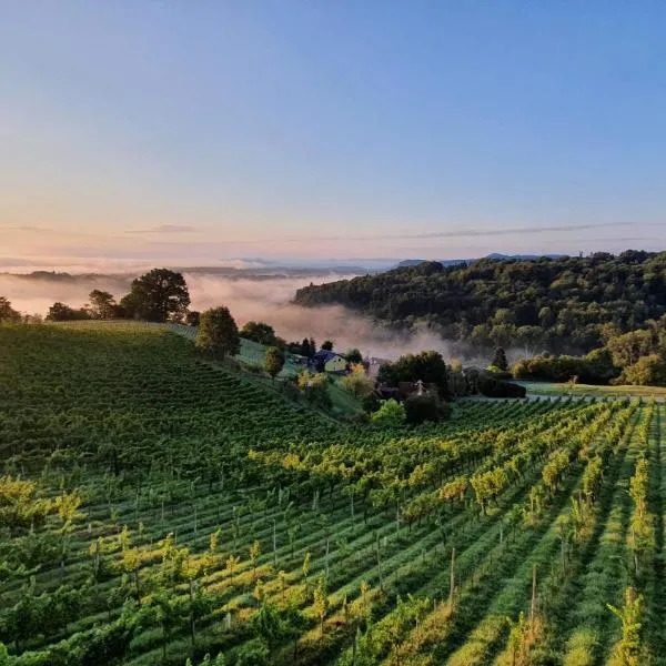 Weingut & Ferienwohnungen Lenhard: Lang şehrinde bir otel