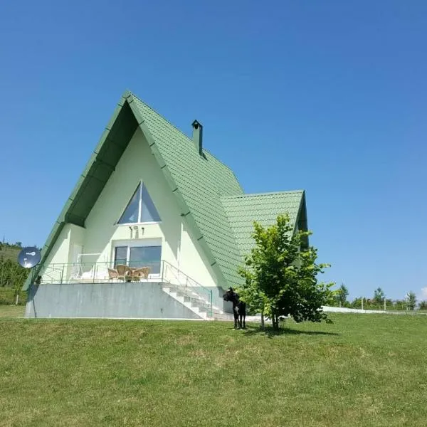 Vila Zeleno borje, hotel in Žabljak