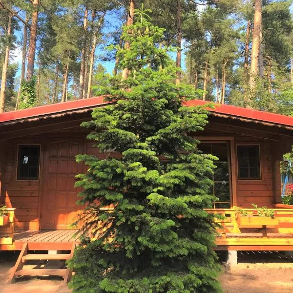 Leśne Zacisze – hotel w Poddąbiu