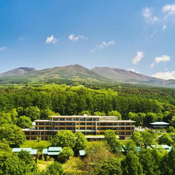 THE HIRAMATSU KARUIZAWA MIYOTA, hotel in Tateshina