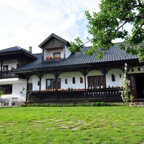 Bed & Breakfast Popamuseum Tarpesti strada Muzeului nr 28, hotel in Arămoaia